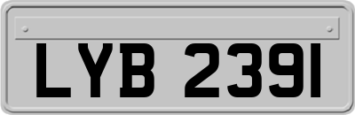 LYB2391