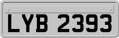 LYB2393