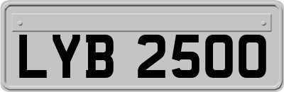 LYB2500