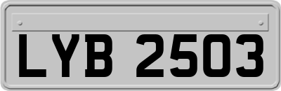 LYB2503