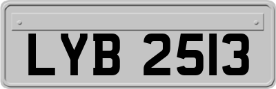 LYB2513