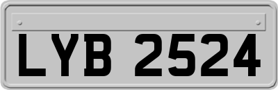 LYB2524