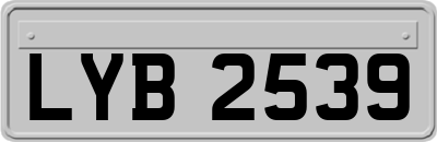 LYB2539