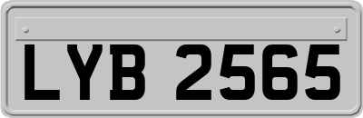 LYB2565