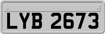 LYB2673