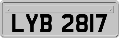 LYB2817