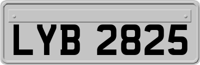 LYB2825