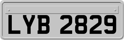 LYB2829