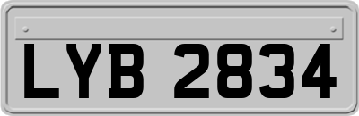LYB2834