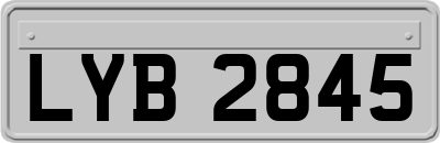 LYB2845