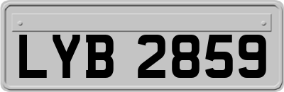 LYB2859