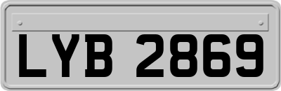 LYB2869