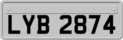 LYB2874