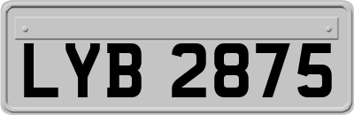 LYB2875