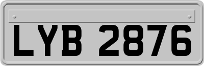 LYB2876