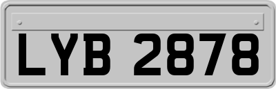 LYB2878
