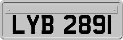 LYB2891