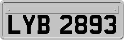 LYB2893