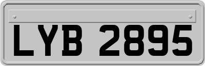 LYB2895