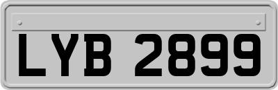 LYB2899