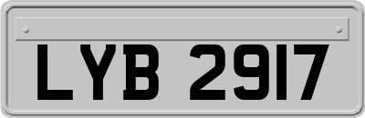 LYB2917