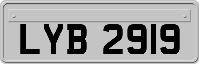 LYB2919