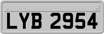 LYB2954
