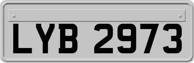 LYB2973