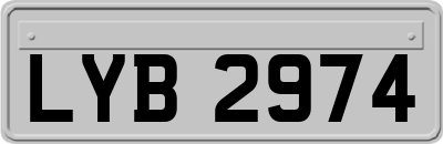 LYB2974
