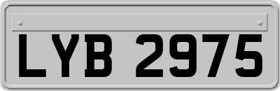 LYB2975