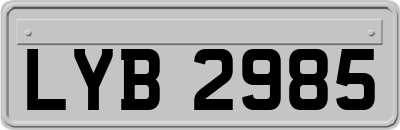 LYB2985