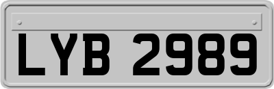 LYB2989