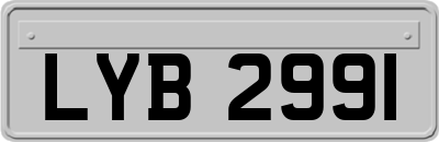 LYB2991