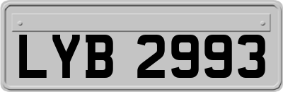 LYB2993