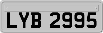 LYB2995