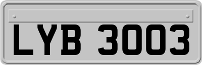 LYB3003