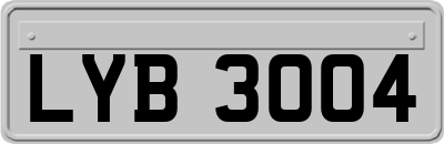 LYB3004