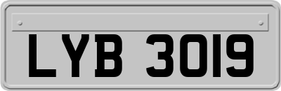 LYB3019