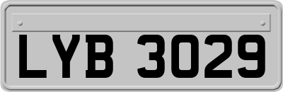 LYB3029