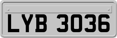LYB3036