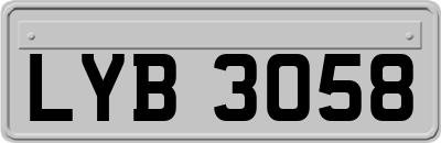LYB3058