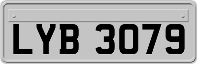LYB3079