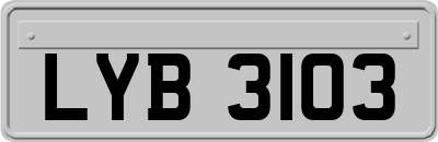 LYB3103