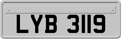 LYB3119