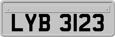 LYB3123