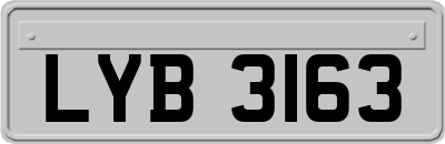 LYB3163