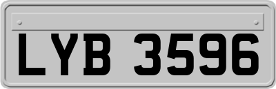 LYB3596