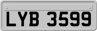 LYB3599