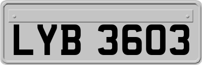 LYB3603