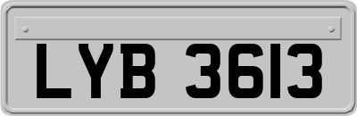 LYB3613